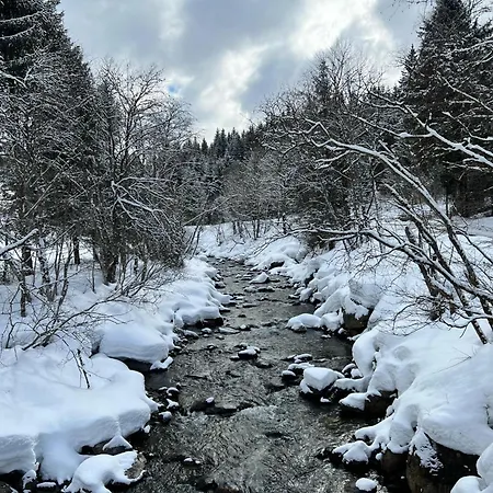 Haus Bente Chalet Donnersbachwald