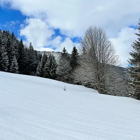 Haus Bente Chalet *