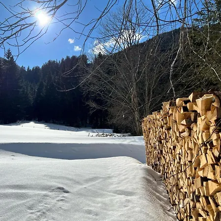 Haus Bente Chalet Donnersbachwald
